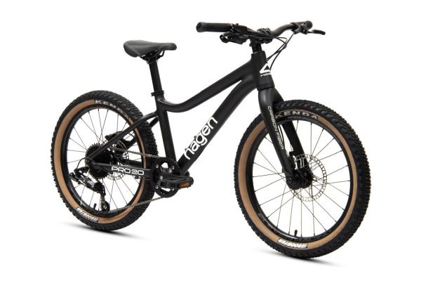Велосипед HAGEN Teen Pro 20 Carbon (2024) Велосипед HAGEN Teen Pro 20 Carbon (2024)