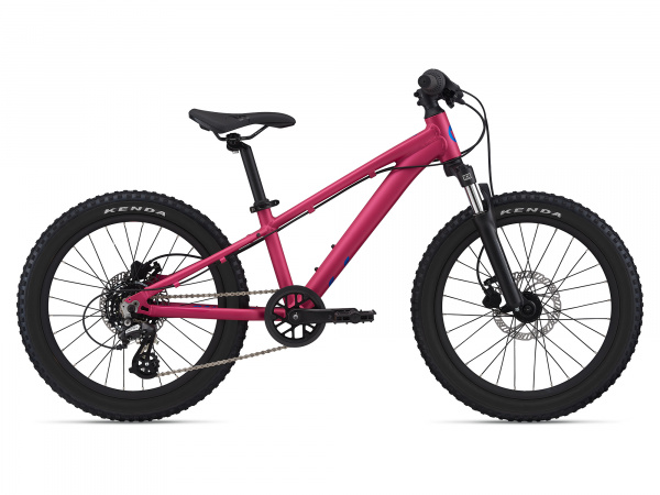 Велосипед GIANT STP 20 FS-Giant (2021)